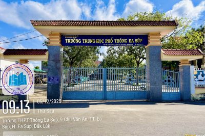 Lịch sử phát triển